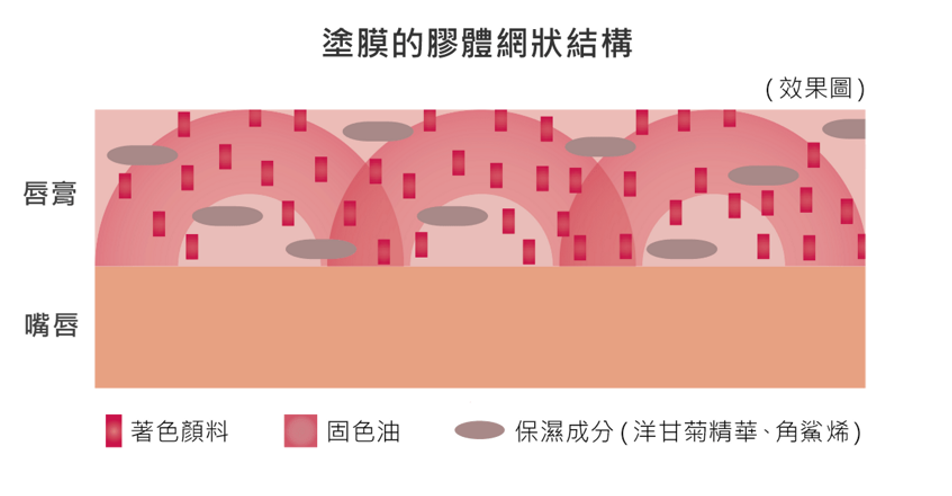 本頁圖片/檔案 - lip2