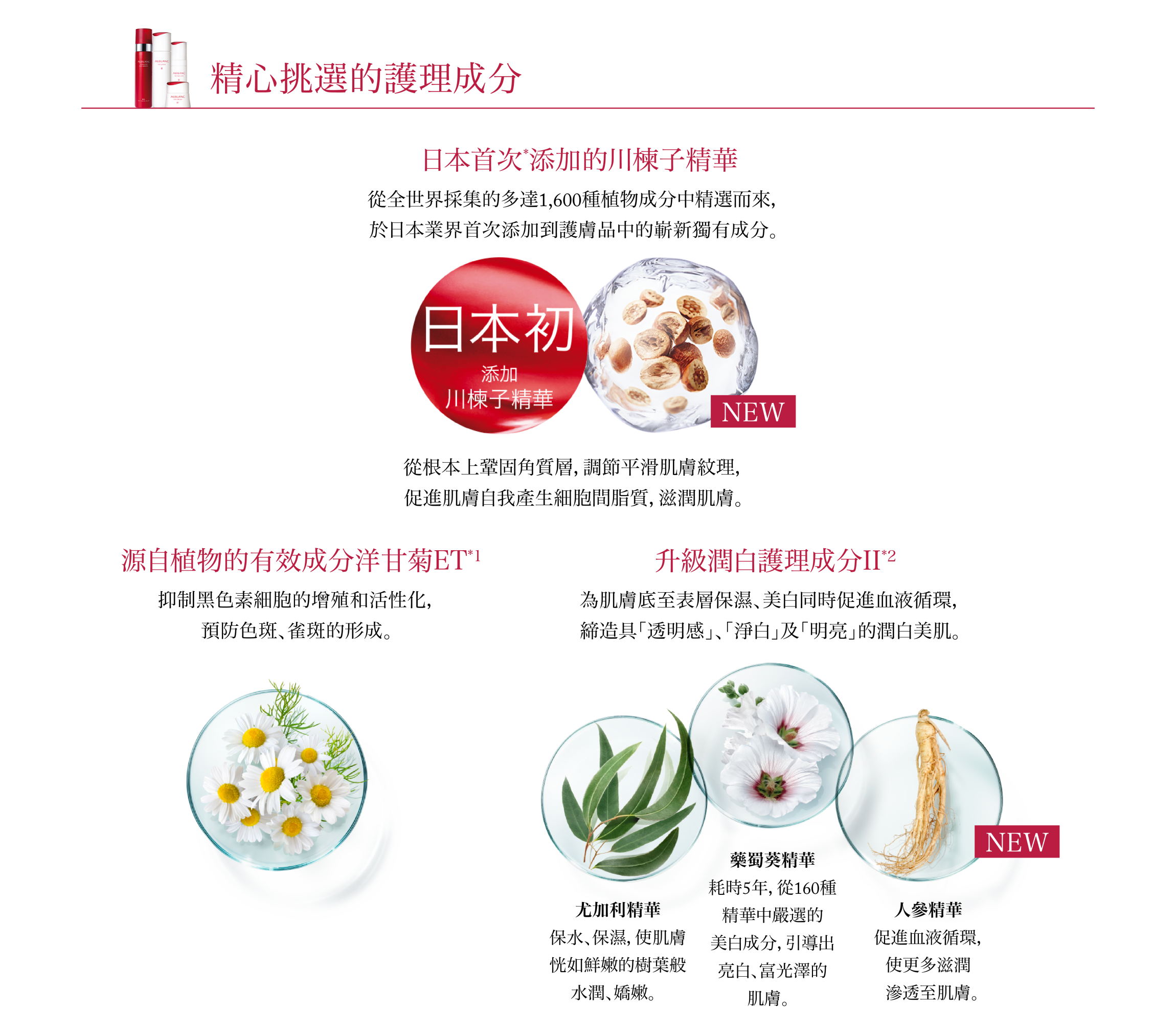 本頁圖片/檔案 - ALBLANC eshop ingredients_13661203_2-01